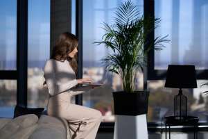 How Natural Brightness Can Transform Your Daily Mindset How Natural Brightness Can Transform Your Daily Mindset